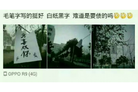 洪江为什么选择专业追讨公司来处理您的债务纠纷？
