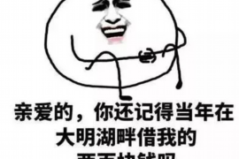 洪江如果欠债的人消失了怎么查找，专业讨债公司的找人方法